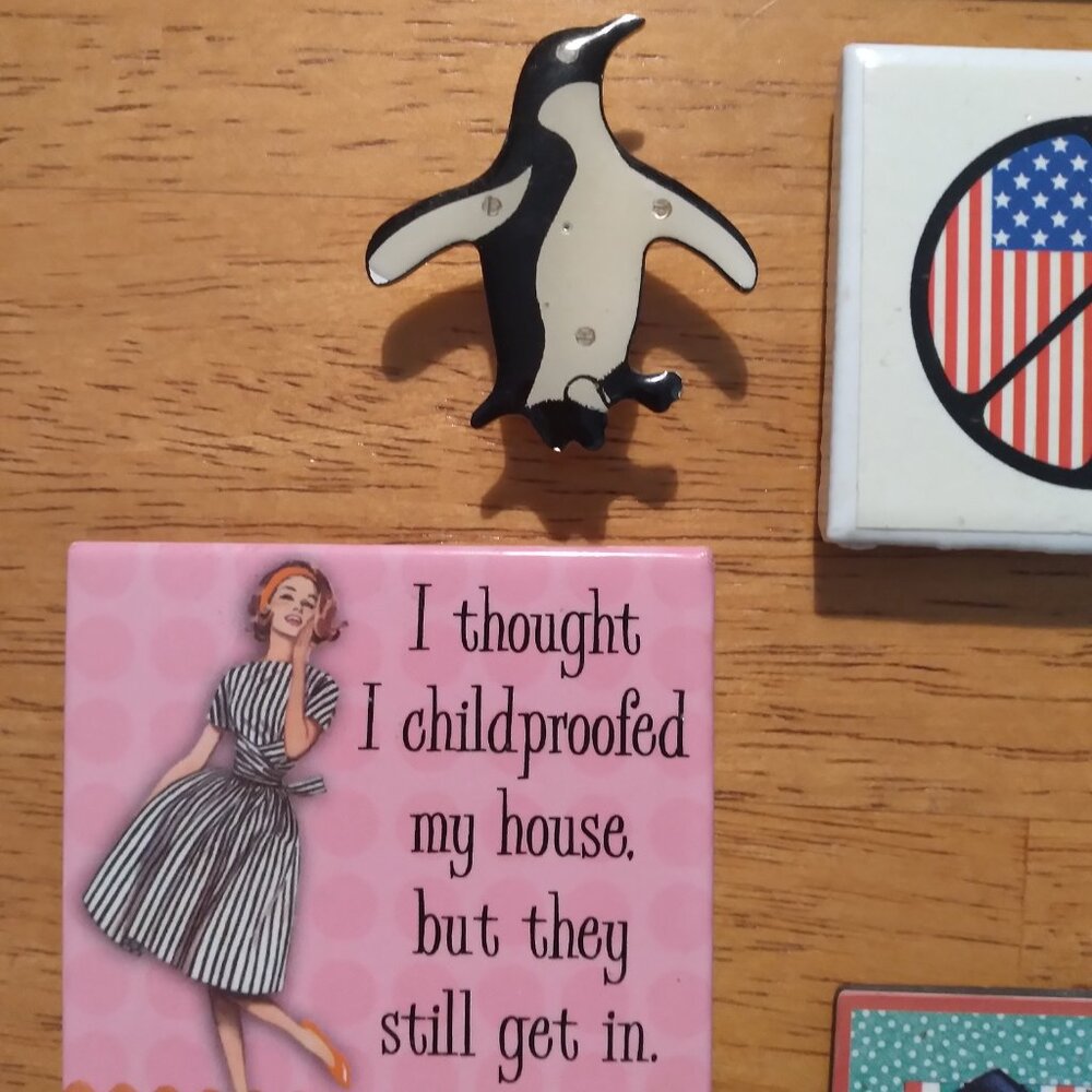 8 Refrigerator  Magnets